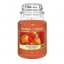 spiced-orange-large-classic-jar